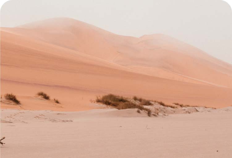 The Desert Fathers and Mothers