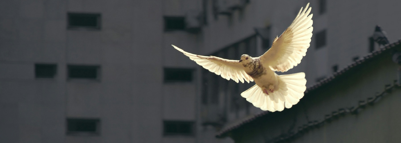 Praying for Peace Around the World